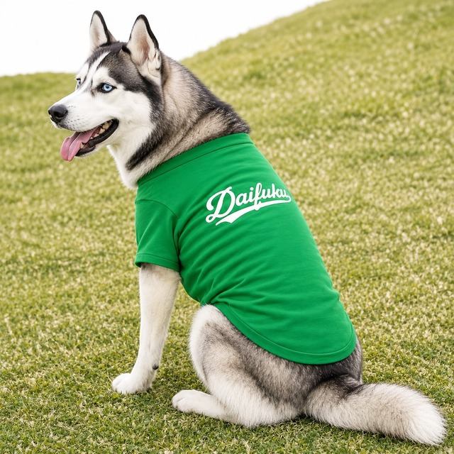 緑のシャツを着た芝生の犬