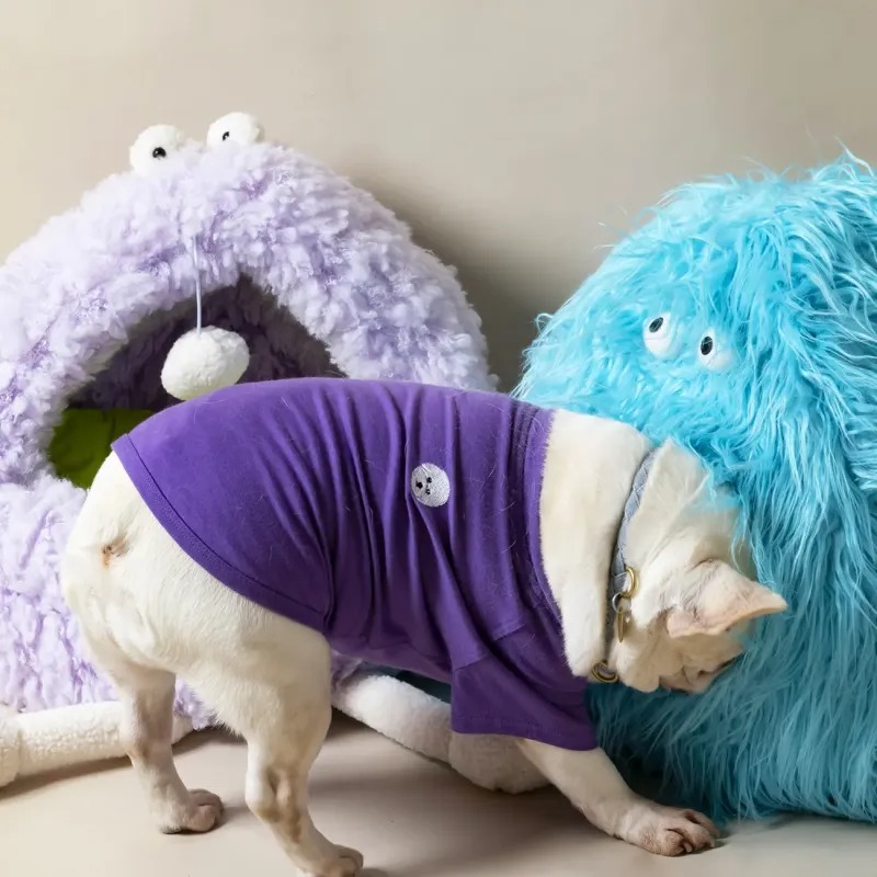 紫の服を着た犬と色フワモコベッド