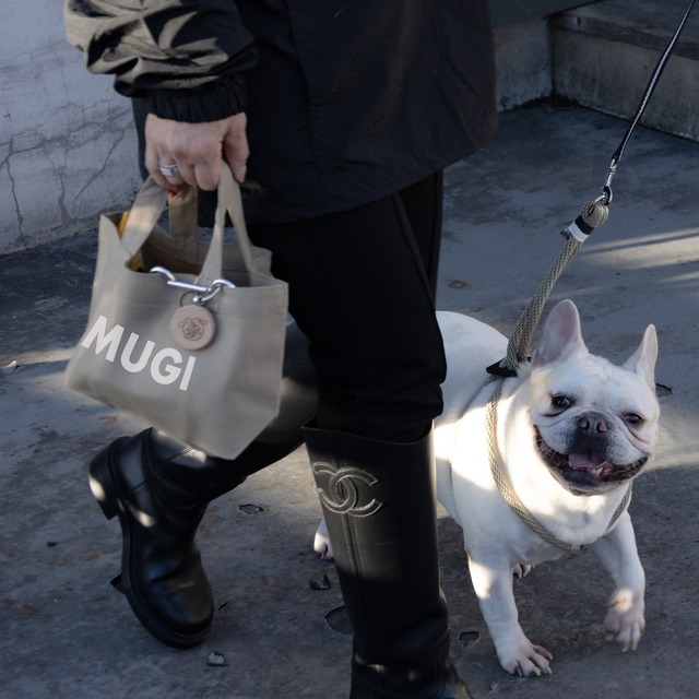 犬を連れて歩く人とバッグ